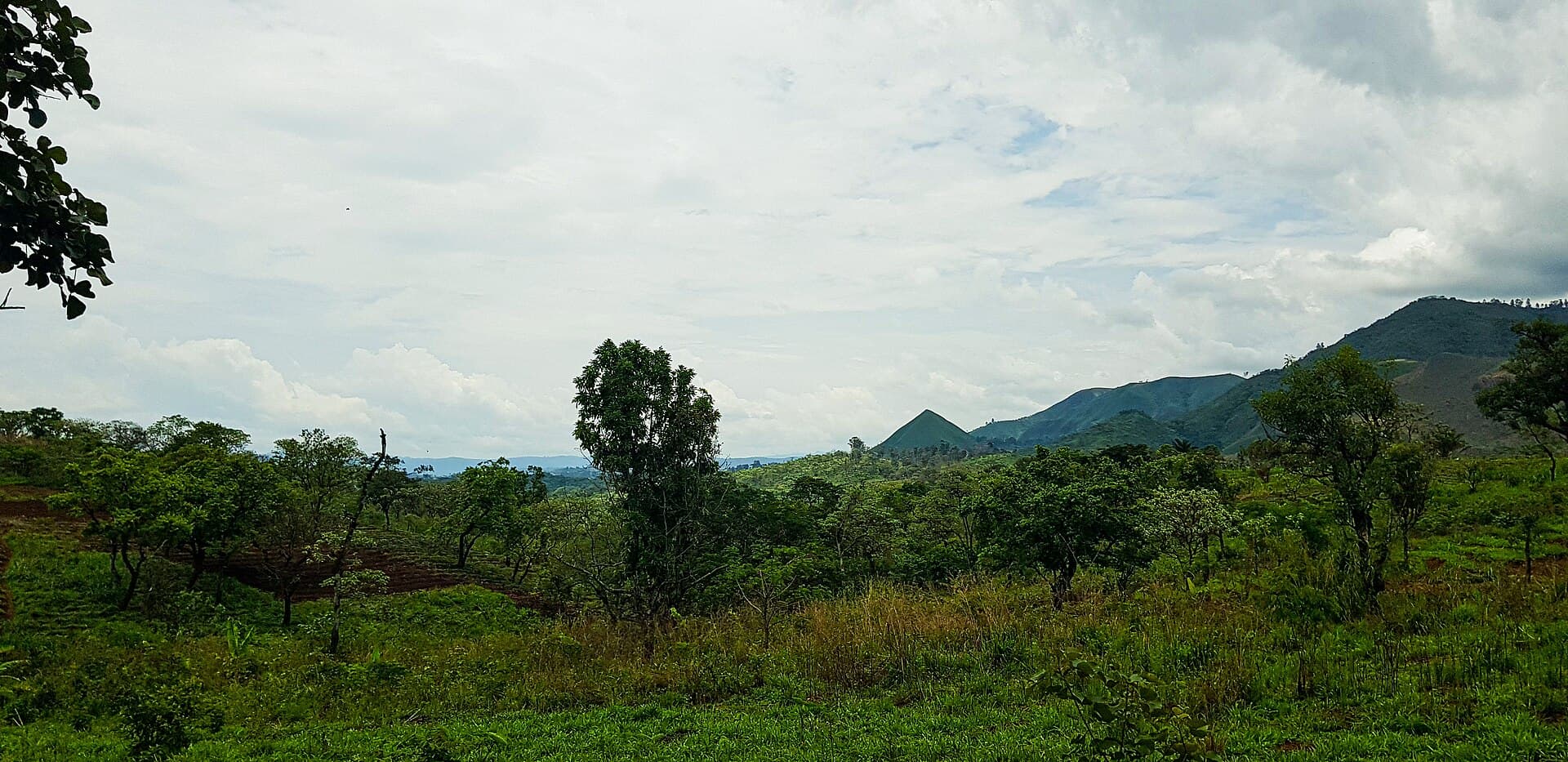 Cameroon