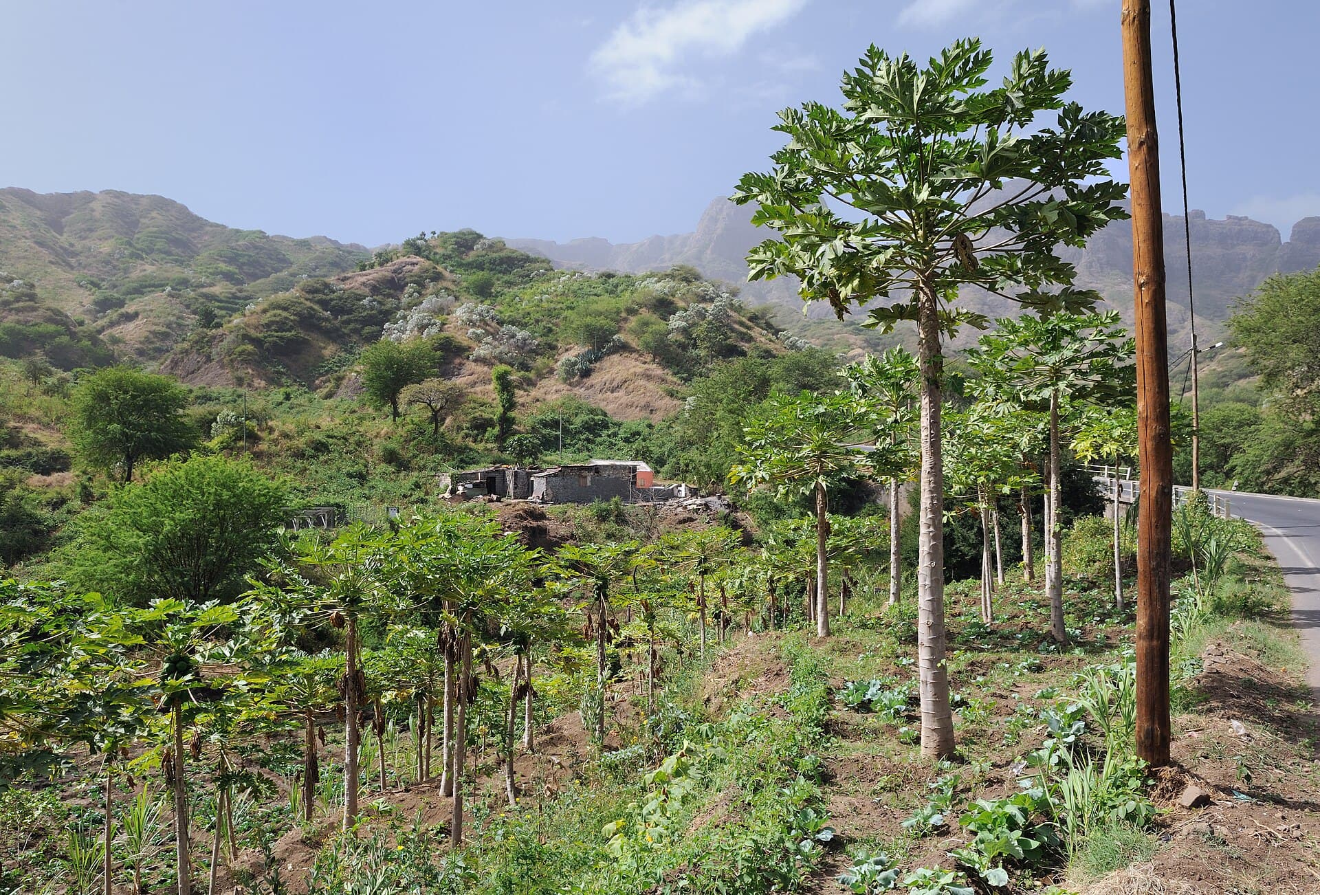 Cape Verde