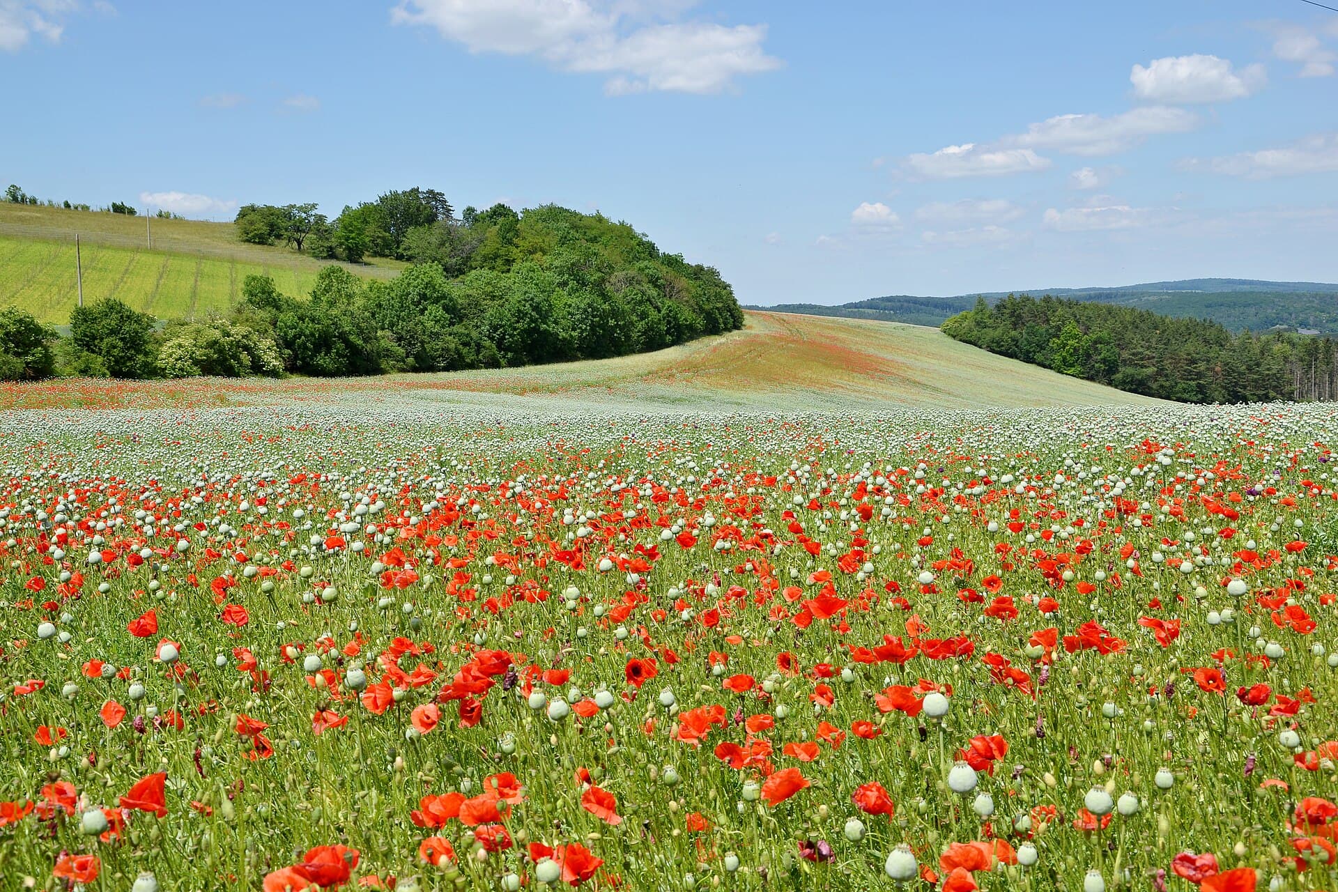 Germany
