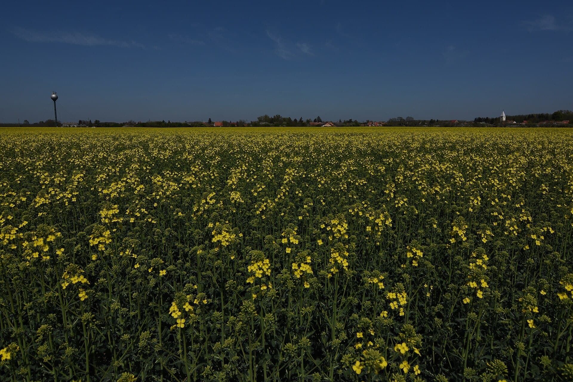 Hungary