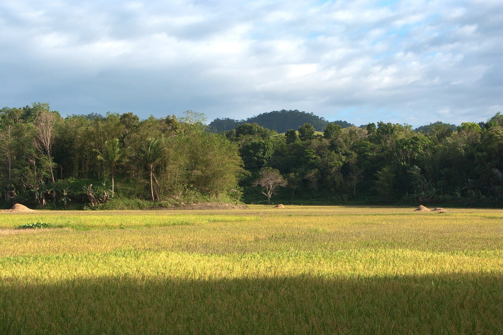 Philippines