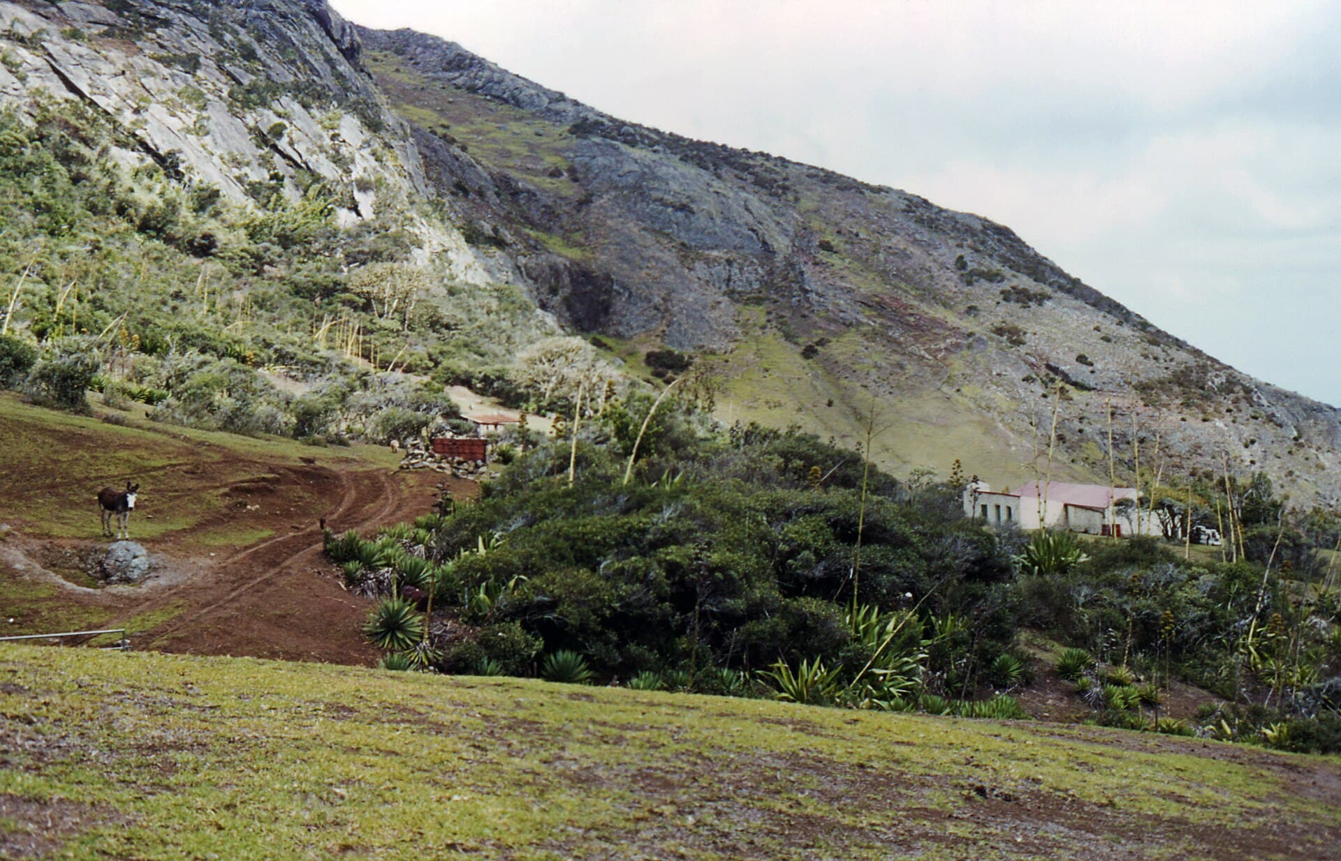 Saint Helena